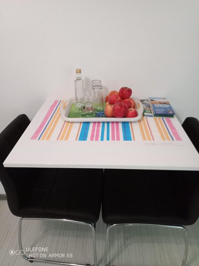 Apartament Cu Un Dormitor Spatios In Centrul Cluj-Napoca Eksteriør billede