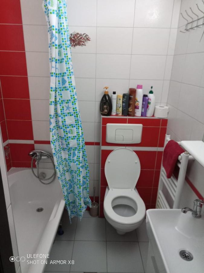 Apartament Cu Un Dormitor Spatios In Centrul Cluj-Napoca Eksteriør billede