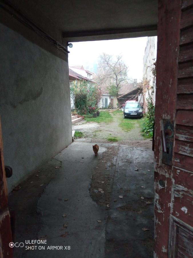 Apartament Cu Un Dormitor Spatios In Centrul Cluj-Napoca Eksteriør billede